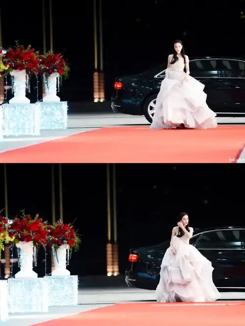 如何评价迪丽热巴在综艺节目《花儿与少年》里的表现?