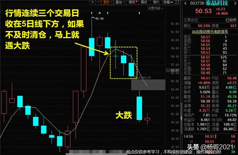 5日均线(带你看5日均线交易法) - 科猫网