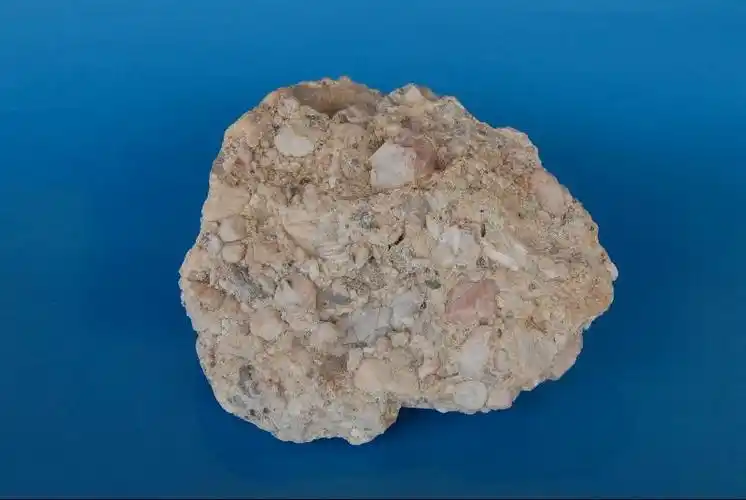 图示展品之一「砾岩」. 砾岩是粗粒的沉积岩.