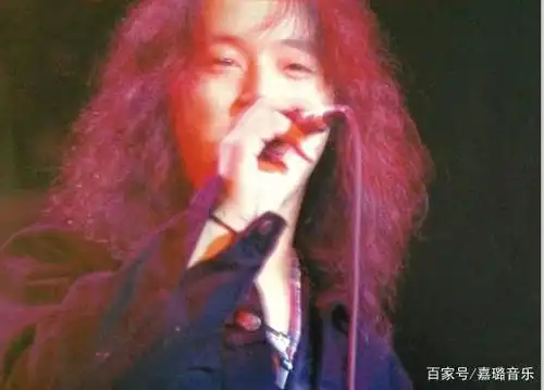 重金属,黑豹乐队主唱,高亢,做梦乐队,黑梦,艳阳天等等等 现在的窦唯是