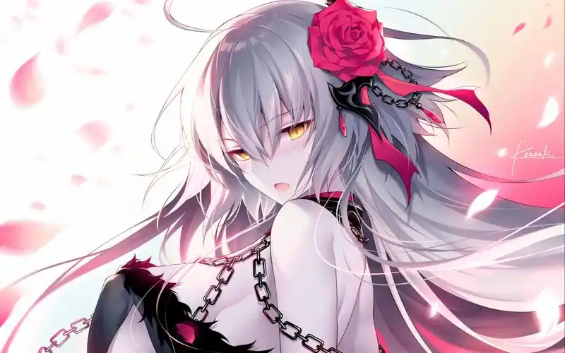 【fgo】135泳装黑贞 日常本初测试_哔哩哔哩_bilibili