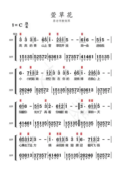 本手残党也能学会的萱草花简谱!