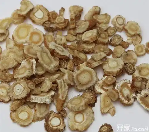 北沙参和南沙参的区别看完你就明白