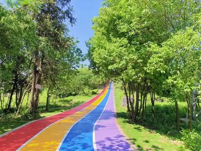 美!美!美!又一条"彩虹步道"来了~_荔枝网新闻