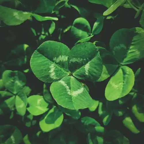 【后期教程】ins风后期教程,手机修图学起来