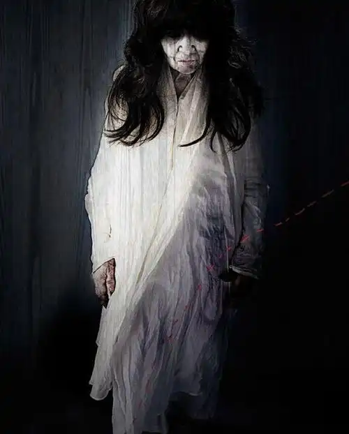 番外白衣女鬼的原型(撞鬼)