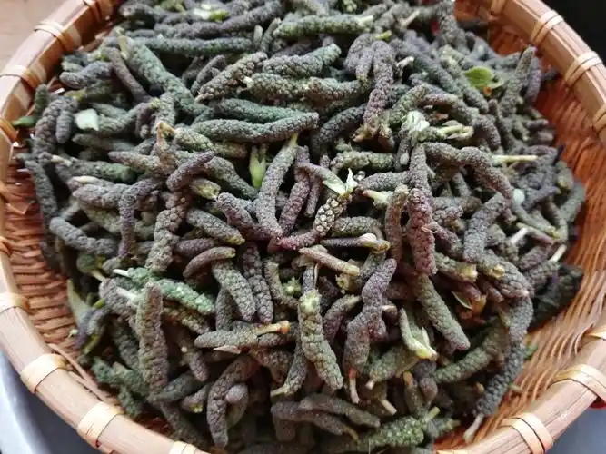 2,在楮树花中加入面粉,没有经验的一次不要加太多.