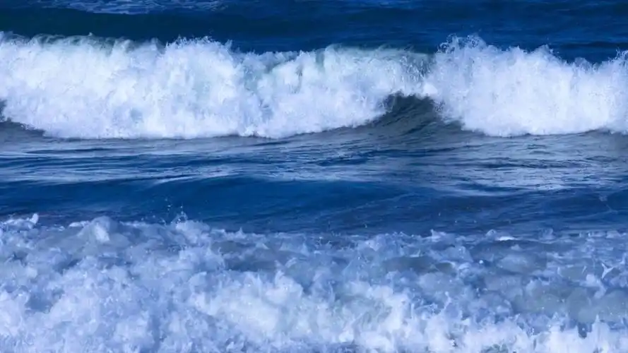 长江后浪推前浪 浮世新人换旧人—金华市初中历史与