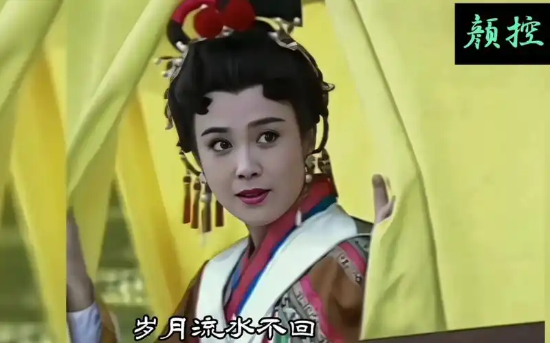 尽管被排挤,妆造也是边角料,怎奈瑕不掩玉,最美杨吉儿