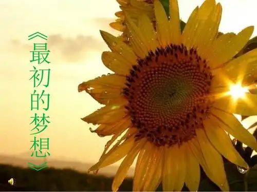 《最初的梦想》.ppt