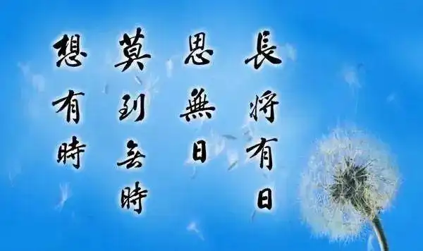 人生格言书法,太美了!