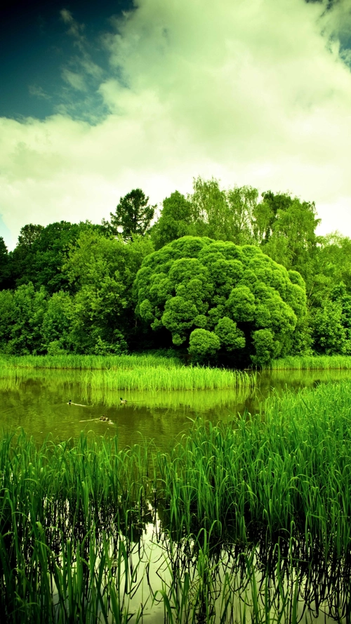 自然风光手机h5背景