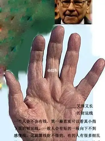 发两张超级富豪的手图自己对照看