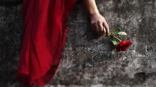 eos 5d mark iii(5d3)      查看大图 手机看图 水泥厂情绪哭泣玫瑰