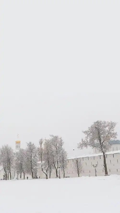 唯美纯白雪景图片手机壁纸