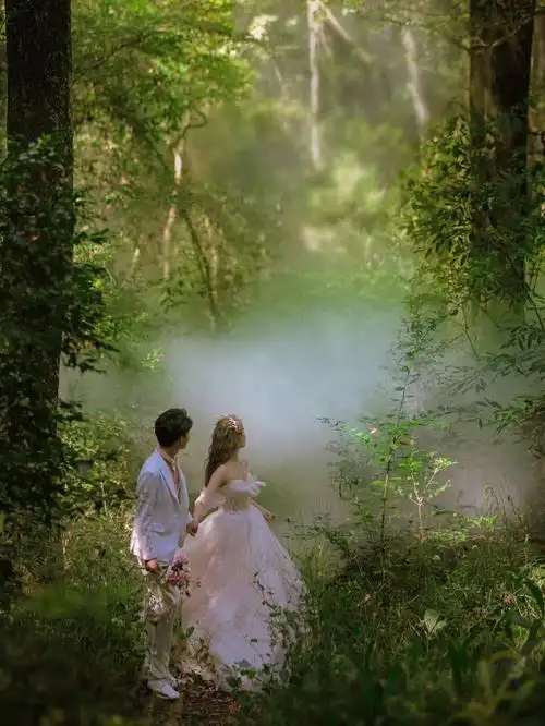 爱丽丝梦游仙境童话公主系列森林系婚纱照