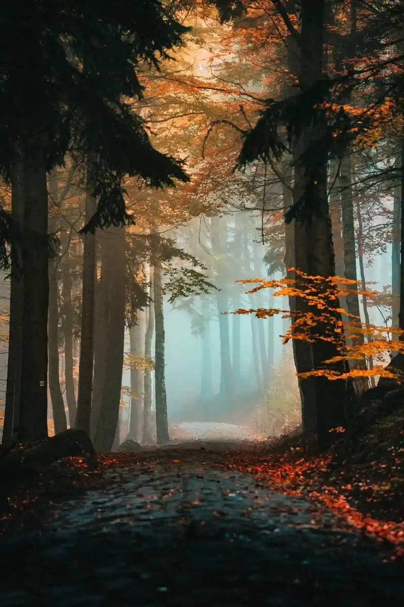 意境~~#高清壁纸 #2k #锁屏壁纸 @抖音小助手  - 抖音