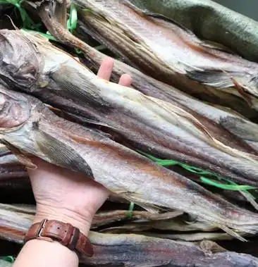 整条柴鱼干超香新鲜批发代发送礼礼盒装水产干货
