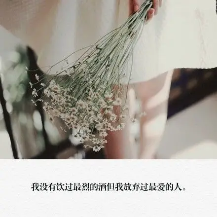 爱情誓言过往后来唯美心情文字语录图片