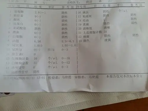 尿常规检验报告
