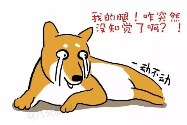 知识什么操作?狗狗一觉醒来腿就瘸了?