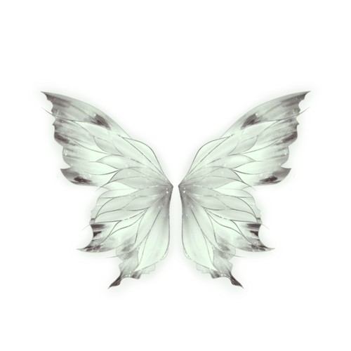 触漫 素材 蝴蝶翅膀 侵删