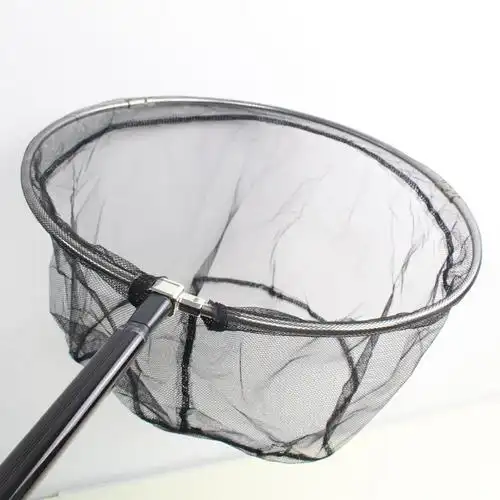 黑三角抄网 026.jpg