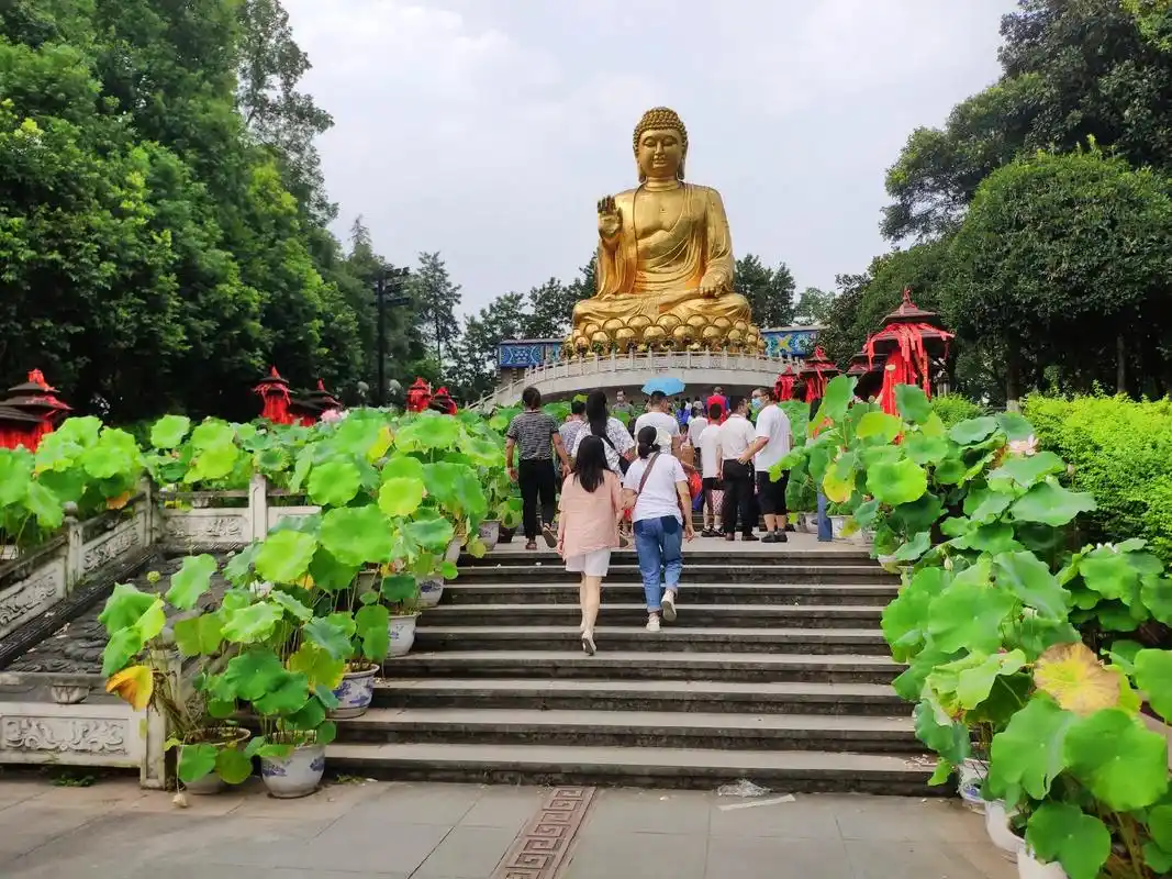 重庆华岩寺大佛 #华岩寺 #释迦牟尼#阿弥陀佛#佛祖 位于 - 抖音