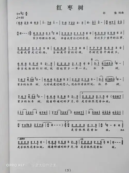 11月6日,吴老师代课,复习了《红枣树》,大家比较喜欢唱这首歌.