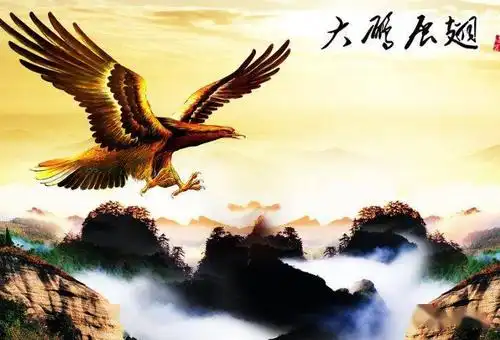 中老年头像大全:高清大鹏展翅,大展宏图的微信头像壁纸