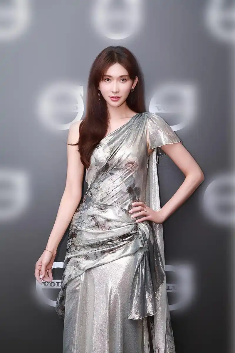 林志玲亮相台北活动 银色晚礼服诠释高贵典雅(5)