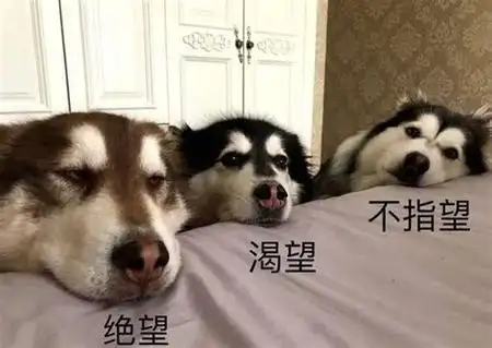 老公什么都指望不上的说说