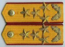 解放军陆军一级上将肩章1988—1993