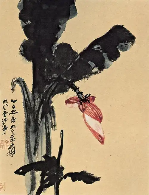 1536 1965年作 芭蕉 镜框 设色纸本