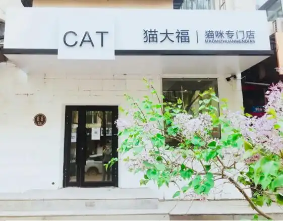 宠物店门头装修设计要点