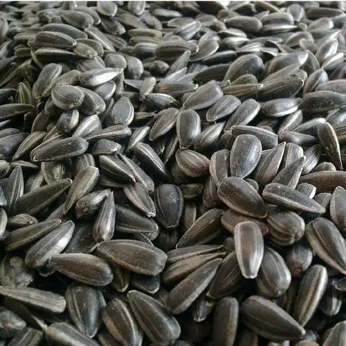 黑珍珠小瓜子黑油葵瓜子小黑熟瓜子500g1斤价,小黑葵花子休闲零食