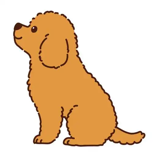 棕色玩具狮子狗小狗坐在侧面视图图片