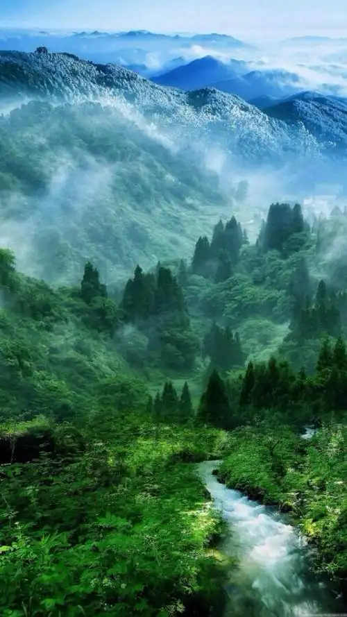 一看就舒心的图片,高清图片,手机壁纸