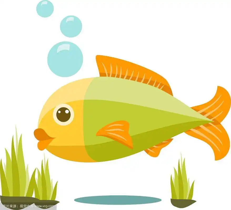可爱孤立鱼卡通
