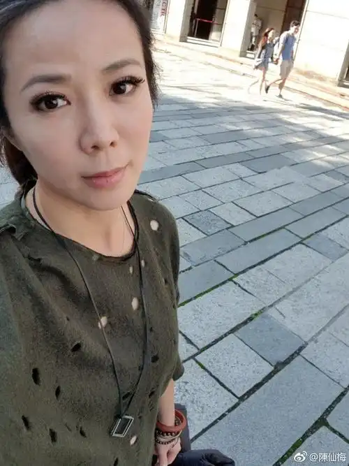 陈仙梅,1975年6月7日出生于中国台湾台北,毕业于台湾戏曲学院,中国