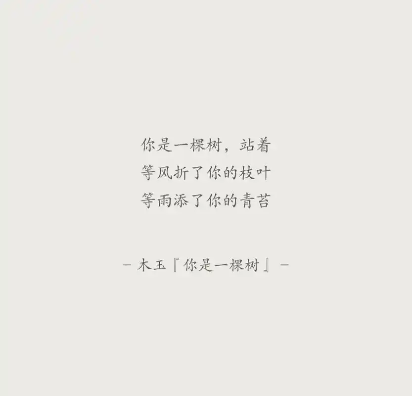 『原创现代诗』树的语言.你是一棵树,站着 等风折了你的枝叶  - 抖音