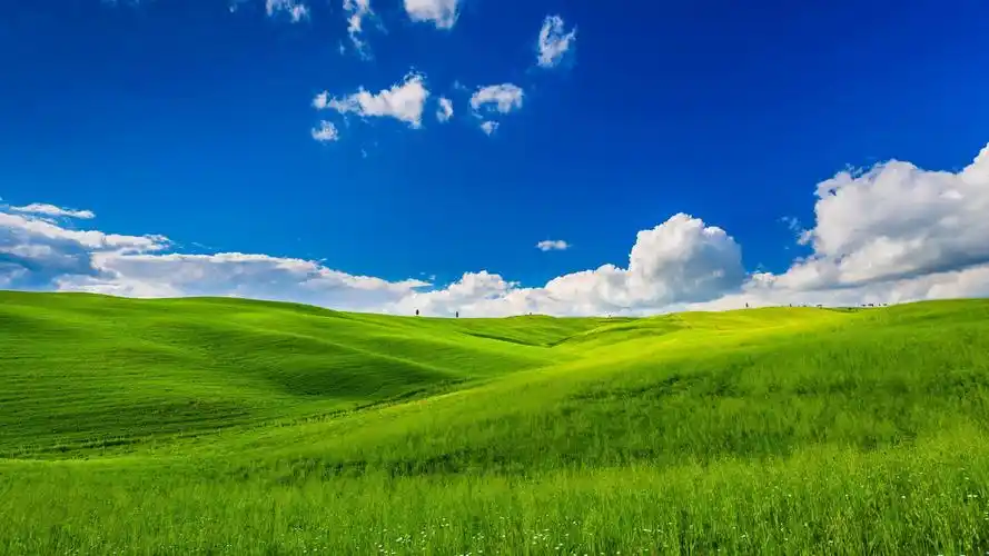 > 清新护眼绿色大草原唯美高清桌面壁纸(1920x1080)