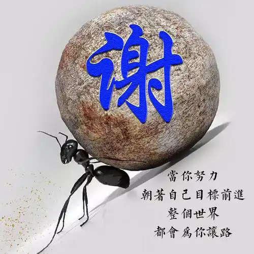 编号1747:20张免费姓氏,2020勇往直前-微信头像,百家姓氏微信头像