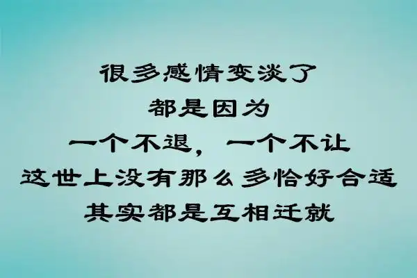 人和人的感情都是这么变淡的