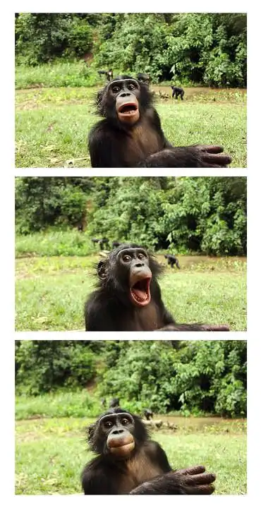 脸谱系列(ii)── funny face