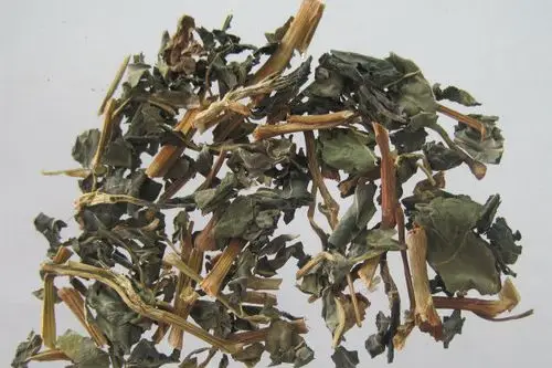 大青叶有几种 - 农村致富经