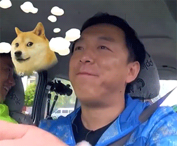 黄渤极限挑战搞笑呆萌gif动图_动态图_表情包下载_soogif