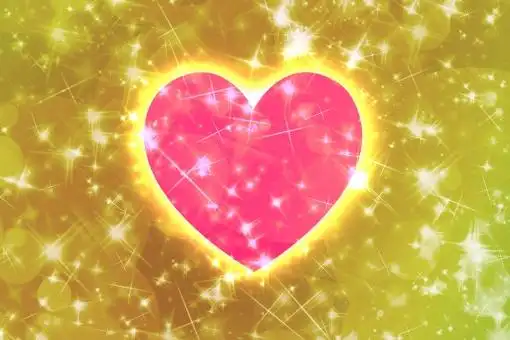 闪闪发光的心2金