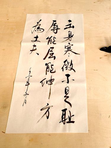 手写书法毛笔字行书代写君子大丈夫三国台词文案宣纸作品摆拍道具