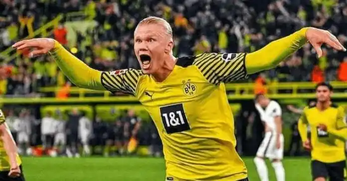 哈兰德吃人表情包